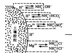 施用碳酸氫銨為什么要強調(diào)深施覆土？
