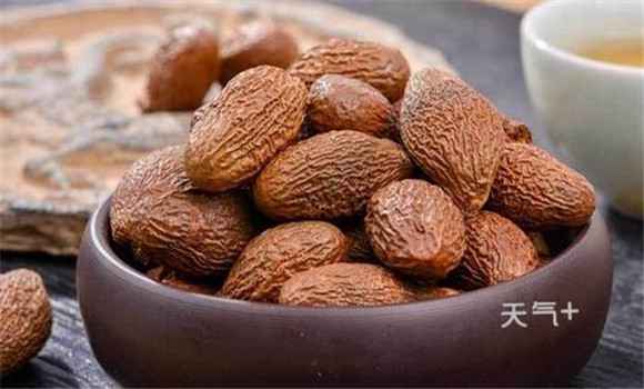 胖大海有降壓利尿、抗菌消炎的功效