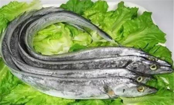 帶魚(yú)的營(yíng)養(yǎng)價(jià)值及功效