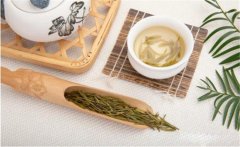 飲茶能治頭痛嗎？關(guān)于飲茶治頭痛的記載
