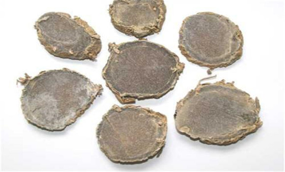 莪術(shù)的用法、用量與禁忌