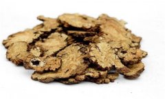 川芎的性能、主治、臨床應(yīng)用及用藥注意事項(xiàng)