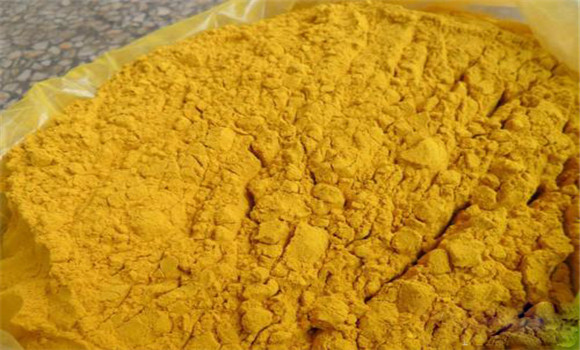 蒲黃的用法、用量與禁忌