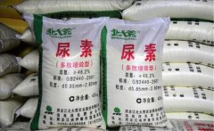 氮肥利用率大約是多少，氮肥是尿素肥嗎？