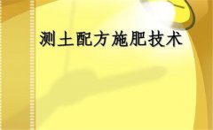 什么是測土配方施肥，測土配方施肥的基本要求