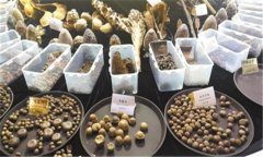 怎樣安全貯存蔬菜種子？蔬菜種子知識(shí)