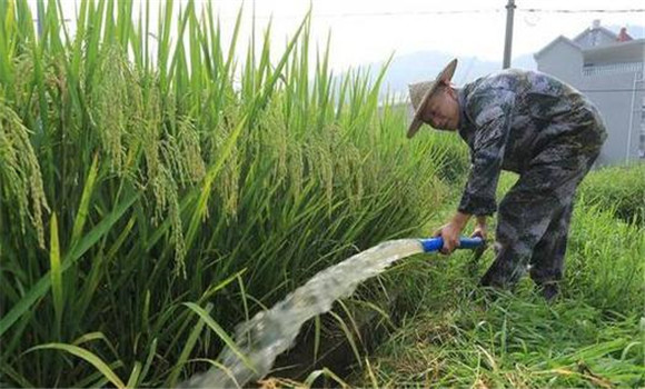 科學(xué)管水、防止早衰