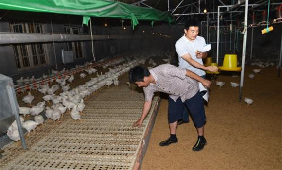 無污染、零排放