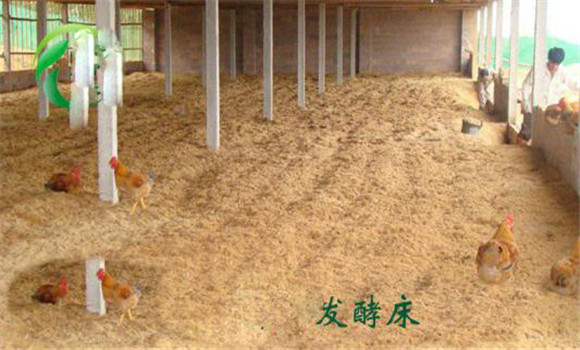 提升空氣質(zhì)量，減輕呼吸道炎癥等疾病