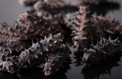 如何選購干海參？干海參的發(fā)泡方法