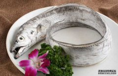 帶魚(yú)的產(chǎn)地、分布生活習(xí)性與品種分類