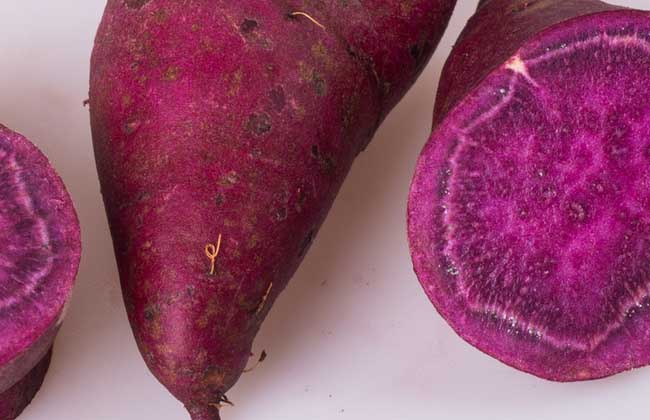 紫薯是轉(zhuǎn)基因食品嗎？