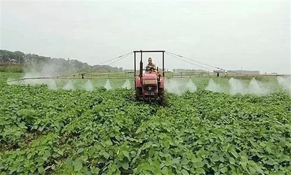 采用機械除草與化學除草相結(jié)合
