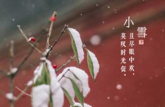 小雪節(jié)氣是什么意思，小雪節(jié)氣吃什么食品？