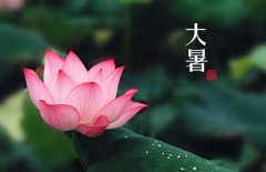 大暑是幾月幾日，大暑的節(jié)日民俗的哪些？