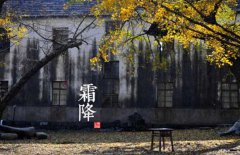 寒露是什么意思，寒露的氣候特征有哪些？