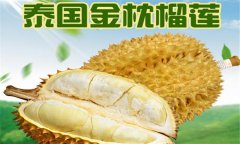 榴蓮品種介紹 常見的榴蓮品種有哪些？