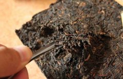 喝普洱茶能減肥嗎？