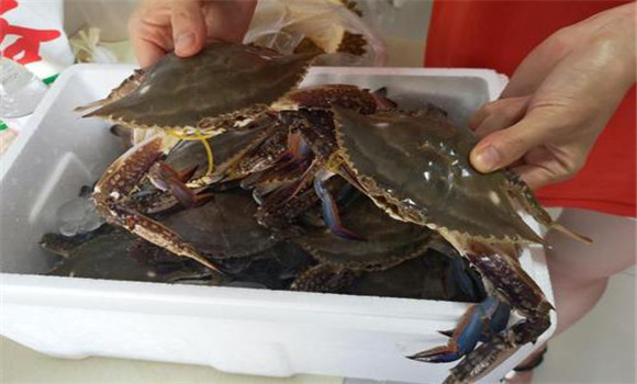 螃蟹屬于海鮮嗎？