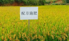 測土配方施肥的意義、作用