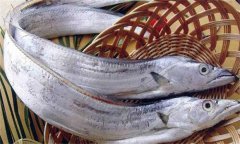 帶魚發(fā)黃能吃嗎？帶魚表面發(fā)黃的原因是什么