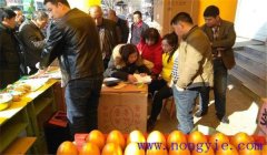 選購(gòu)種子應(yīng)該注意什么 購(gòu)買種子注意事項(xiàng)