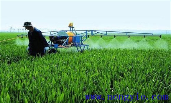 合理使用植物生長(zhǎng)調(diào)節(jié)劑，防止小麥倒伏的方法