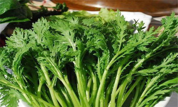 茼蒿種植技術(shù)要點(diǎn)，如何種植茼蒿