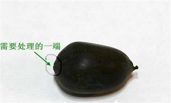 碗蓮的種植方法帶圖，碗蓮的種植方法與技術(shù)詳