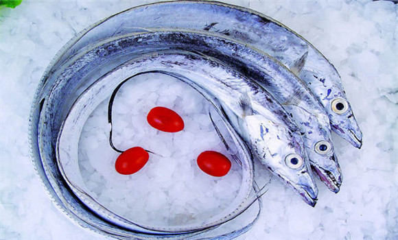 帶魚(yú)為什么都是死的