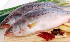 鱸魚是海魚還是淡水魚，海鱸魚和河鱸魚的區(qū)別