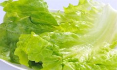 生菜的營養(yǎng)成分，生菜的營養(yǎng)價值及功效有哪些