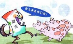 豬流行性腹瀉怎么治療、預(yù)防與防治要點(diǎn)有哪些