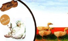 小鵝瘟癥狀有哪些，治療與防治措施簡(jiǎn)介