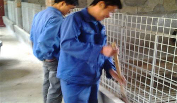 加強(qiáng)補飼