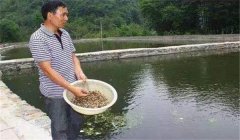 魚塘如何施肥？魚塘施肥技術的三個要點