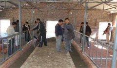 奶牛場設施設備有哪些，是如何分類的？