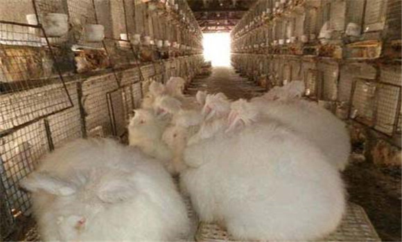 飼料要搭配、交換