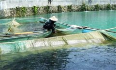 魚(yú)赤皮病的治療方法、是什么引起、有什么癥狀