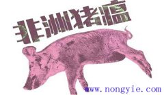 非洲豬瘟什么癥狀 非洲豬瘟的防控措施、要點(diǎn)