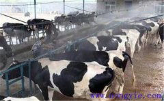 通風(fēng)對(duì)奶牛產(chǎn)奶與健康有什么影響？