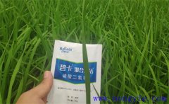 沖施肥哪個品牌好？沖施肥和水溶肥的區(qū)別