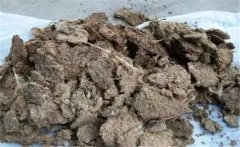 雞糞如何發(fā)酵成有機(jī)肥，用什么發(fā)酵菌好？