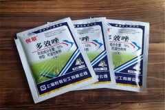 如何正確使用多效唑，用多了發(fā)生藥害怎么辦？