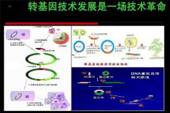 轉(zhuǎn)基因技術(shù)的原理是什么,在農(nóng)業(yè)上的應用有哪些
