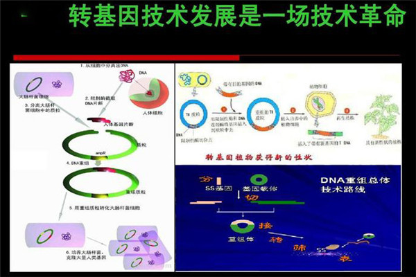 轉基因技術的原理是什么