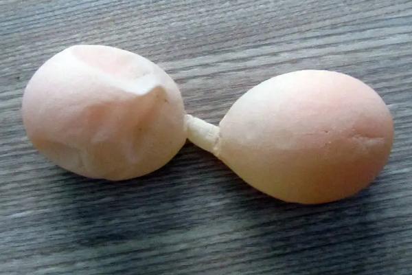 雞下軟蛋怎么辦、如何防治