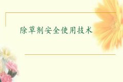 除草劑安全使用要點(diǎn) 發(fā)生除草劑藥害如何補(bǔ)救？