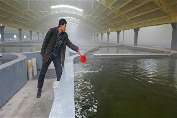 pH值。表示水的酸堿度
