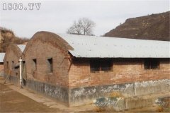麝鼠圈舍建筑方法與要求有哪些？